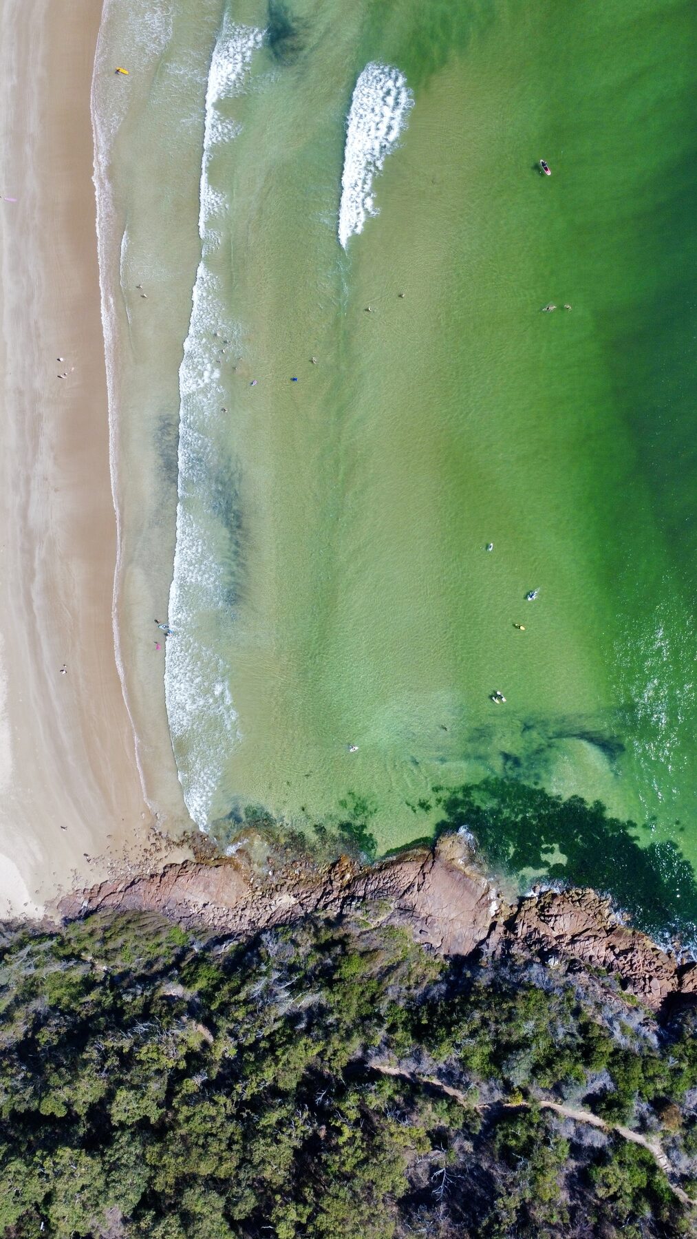 Aerial view of a surfer paddling into a clean wave, Port Stephens